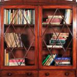 Anglick mahagonov knihovna z 19. stolet