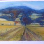 Boris Nosek - Pole, Volary Boris Nosek - Pole, Volary