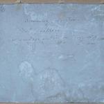 Zahrada v Dornburgu Zahrada v Dornburgu