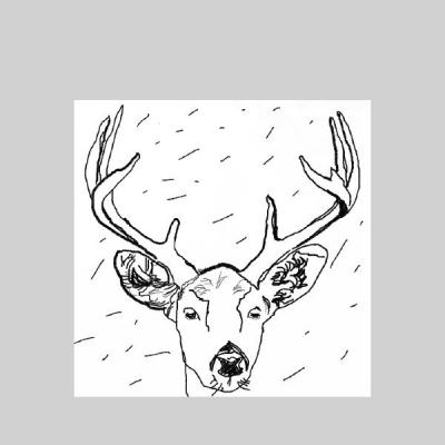DEER Gallery DEER Gallery