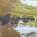 Emanuel Hosperger (1891-1984)  - Mořský příboj Emanuel Hosperger (1891-1984)  - Mořský příboj