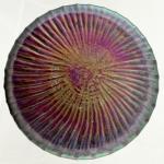 Velká secesní váza - Joasef Rindskopd Söhne Velká secesní váza - Joasef Rindskopd Söhne