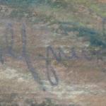 Travnatý háj Travnatý háj