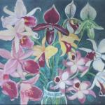 Jaromír Seidl - Orchideje Jaromír Seidl - Orchideje