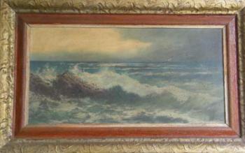 Mořské útesy - Stelzer Mořské útesy - Stelzer