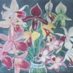 Jaromír Seidl - Orchideje Jaromír Seidl - Orchideje