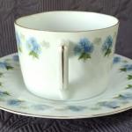 Šálek s podšálkem, porcelánka Loket  Šálek s podšálkem, porcelánka Loket