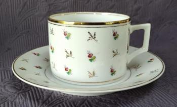 Šálek s podšálkem, zn. Slavkov  Šálek s podšálkem, zn. Slavkov