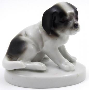 Psík - Oeslau Psík - Oeslau