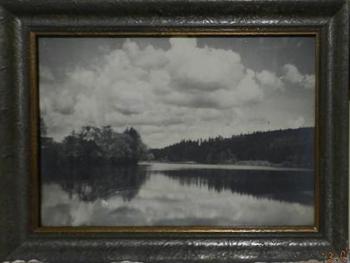 Konventský Rybník Konventský Rybník