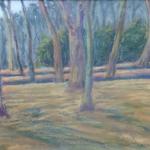 Travnatý háj Travnatý háj