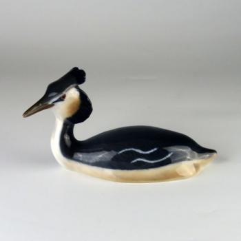 Potápka roháč Potápka roháč