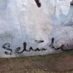 Jarní krajina  Jarní krajina