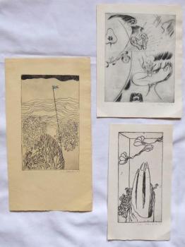 Eva Vlasáková - Prsty, Mořská flora a vlajka, Sluc Eva Vlasáková - Prsty, Mořská flora a vlajka, Sluc