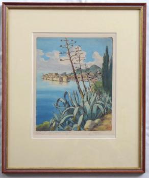 J. Vučetič - Dubrovník, Aloe J. Vučetič - Dubrovník, Aloe