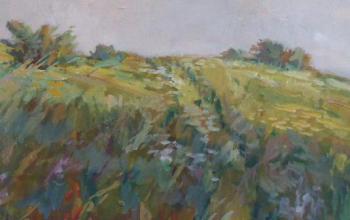 Pichlík - Louka s keři Pichlík - Louka s keři