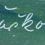 Šašková - Tři borovice na stráni Šašková - Tři borovice na stráni