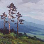 Šašková - Tři borovice na stráni Šašková - Tři borovice na stráni