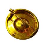 Zlatá brož ve florálním stylu Zlatá brož ve florálním stylu