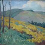 Podzimní stráň Podzimní stráň