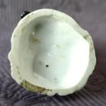 Soška kavalíra  Soška kavalíra