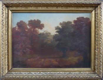 Podzimní cesta lesem Podzimní cesta lesem