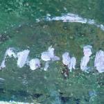 Motyčka Matěj : Dívky v rákosí Motyčka Matěj : Dívky v rákosí