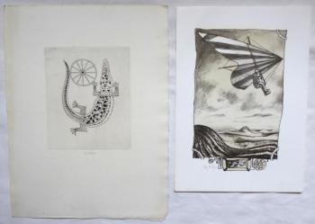 Ladislav Josef Kašpar - Rogallo, Krokodýl Ladislav Josef Kašpar - Rogallo, Krokodýl