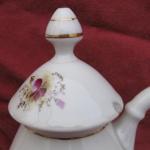 Přátelská souprava   (1890-1910) Přátelská souprava   (1890-1910)