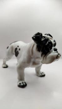 Anglický buldok – Rosenthal Anglický buldok – Rosenthal