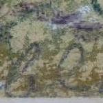 Na hrázi rybníka Na hrázi rybníka