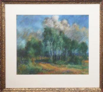 Vladimír Schulz - Březový háj Vladimír Schulz - Březový háj