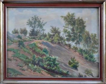 Stráň kvetoucí Stráň kvetoucí