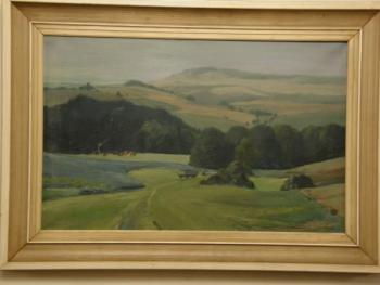 Ranní mlha Ranní mlha