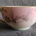 Šálek s podšálkem, zn. Březová ( Pirkenhammer ) Šálek s podšálkem, zn. Březová ( Pirkenhammer )