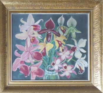 Jaromír Seidl - Orchideje Jaromír Seidl - Orchideje