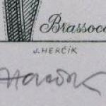 Josef Herčík - Orchidej Josef Herčík - Orchidej