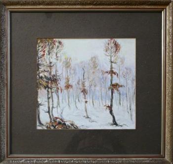 Zimní háj Zimní háj