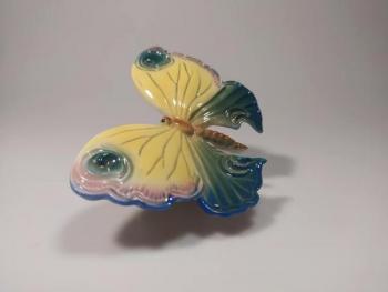 Motýl velký  Motýl velký