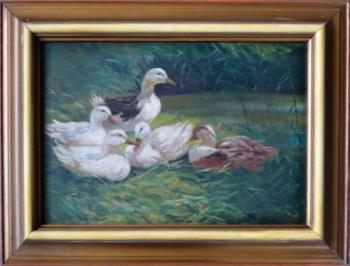 Josef Pavelka - Kachny Josef Pavelka - Kachny