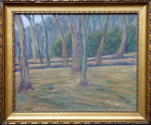 Travnatý háj Travnatý háj