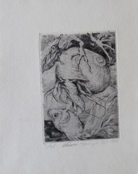 Petr Hampl - Surrealistický motiv, ulita a ryba Petr Hampl - Surrealistický motiv, ulita a ryba