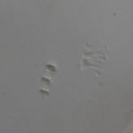 Secesní plastika, dívka, sign. - Johann Maresch Secesní plastika, dívka, sign. - Johann Maresch