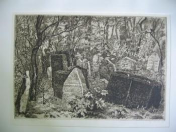 Žižka Vratislav Jan : Židovský hřbitov v Praze č.2 Žižka Vratislav Jan : Židovský hřbitov v Praze č.2