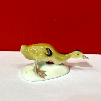 Míšeň, malá kachnička Míšeň, malá kachnička