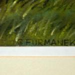 Czeslaw Furmanek - Samotna chata - Lubelskie Czeslaw Furmanek - Samotna chata - Lubelskie