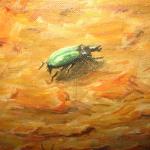 Hyský : Kočky hledící na brouka ( střevlíka ? ) Hyský : Kočky hledící na brouka ( střevlíka ? )