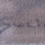 Suchý Jiří : Parid  Suchý Jiří : Parid