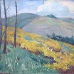 Podzimní stráň Podzimní stráň