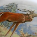 Talíř s jelenem Talíř s jelenem